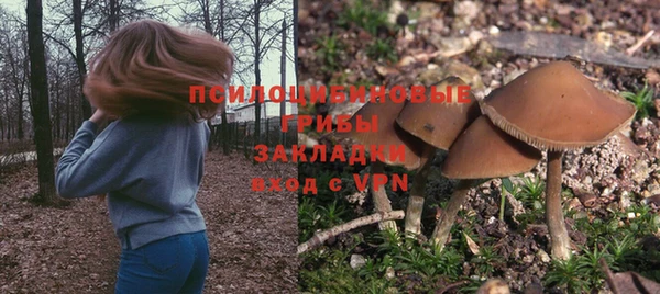 марки nbome Алзамай